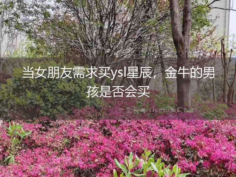 當女朋友需求買ysl星辰，金牛的男孩是否會買