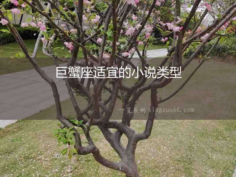 巨蟹座適宜的小說類型