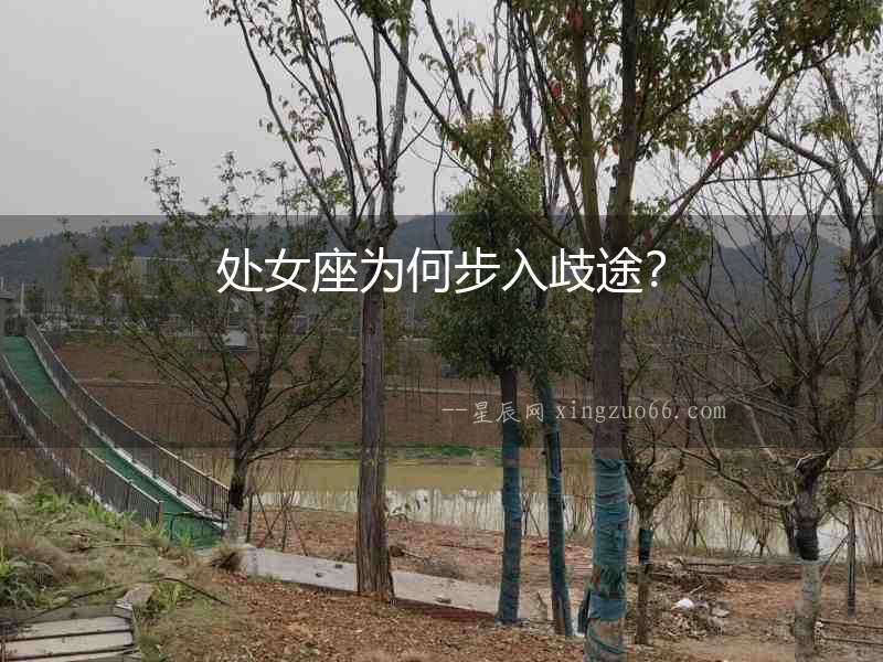 處女座為何步入歧途？