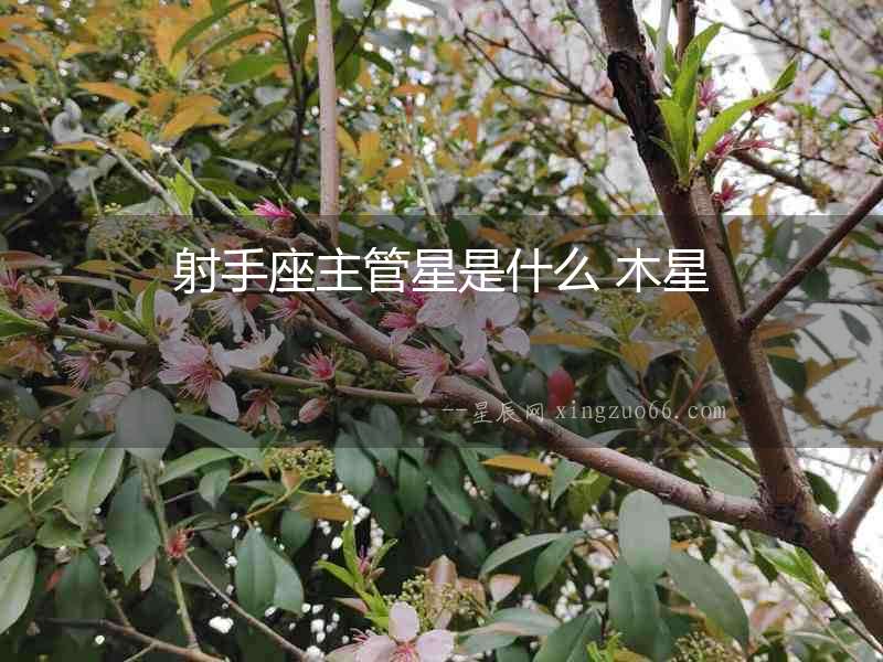 射手座主管星是什么 木星