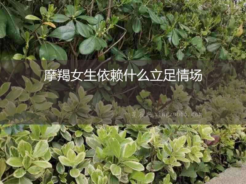 摩羯女生依賴什么立足情場