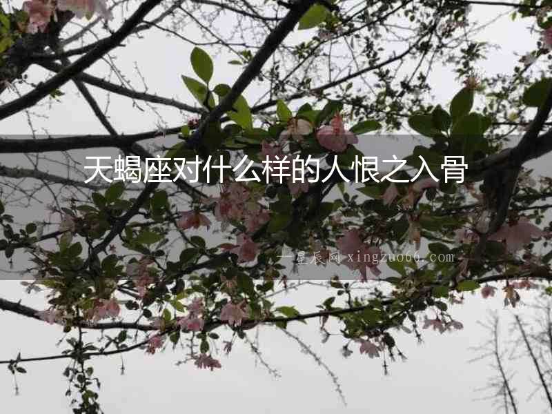 天蝎座對什么樣的人恨之入骨