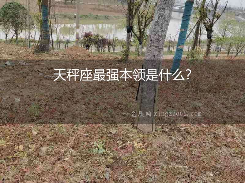 天秤座最強本領是什么？