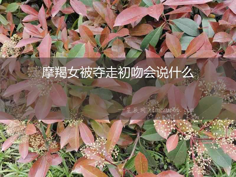 摩羯女被奪走初吻會說什么