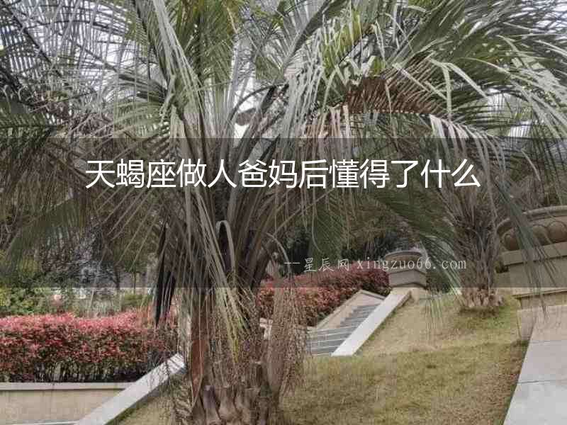 天蝎座做人爸媽后懂得了什么