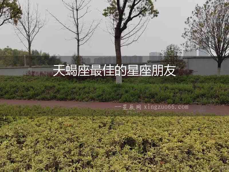 天蝎座最佳的星座朋友