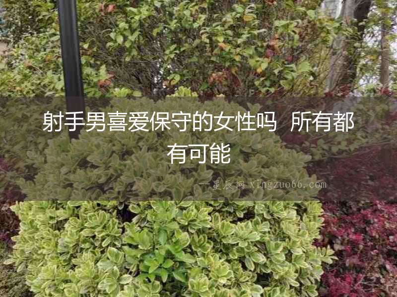 射手男喜愛保守的女性嗎  所有都有可能