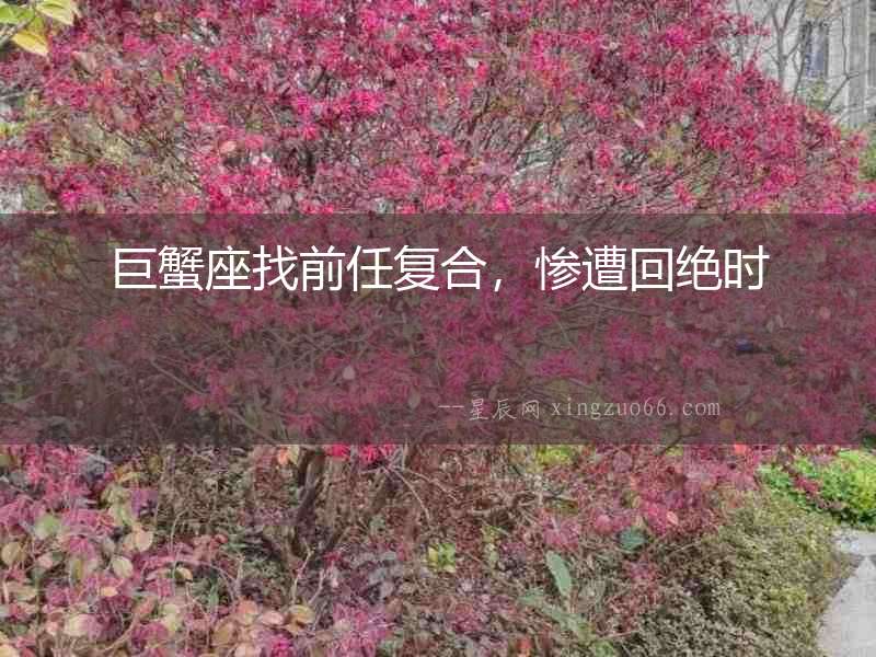 巨蟹座找前任復合，慘遭回絕時