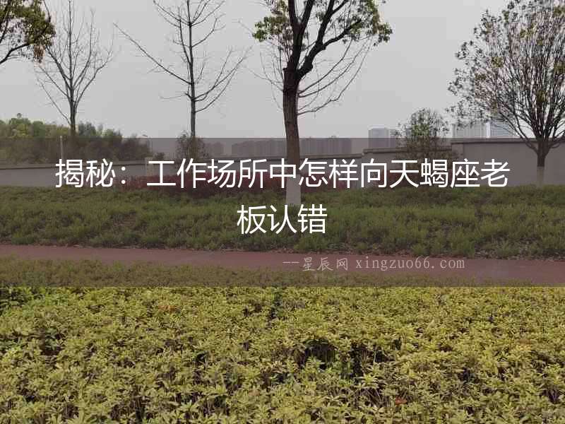 揭秘：工作場所中怎樣向天蝎座老板認錯