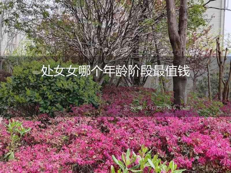 處女女哪個年齡階段最值錢
