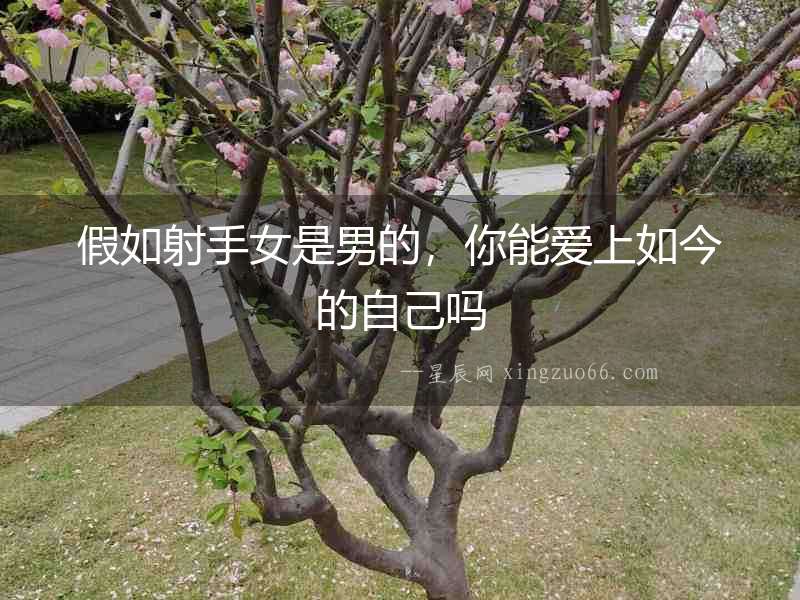假如射手女是男的，你能愛上如今的自己嗎