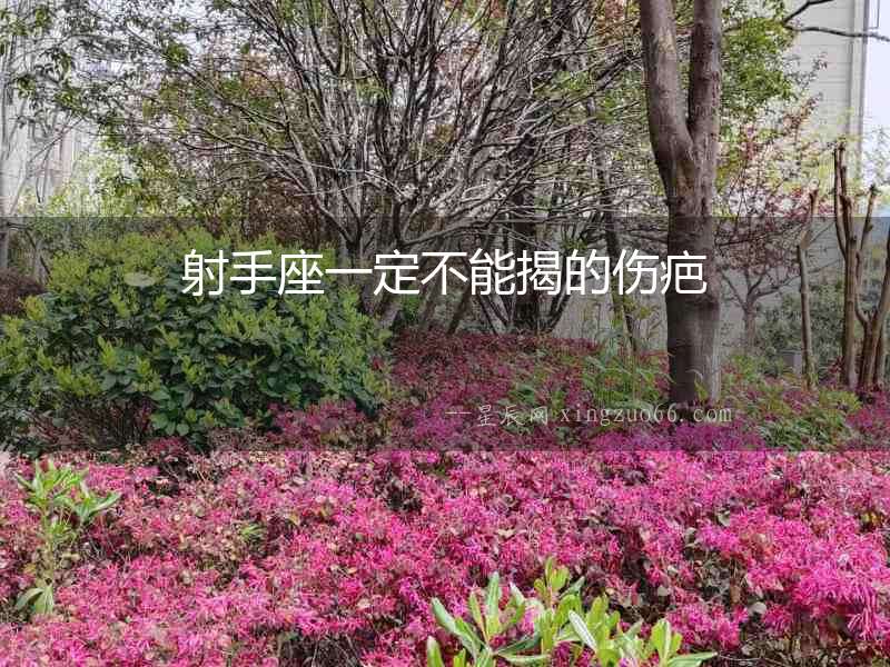 射手座一定不能揭的傷疤