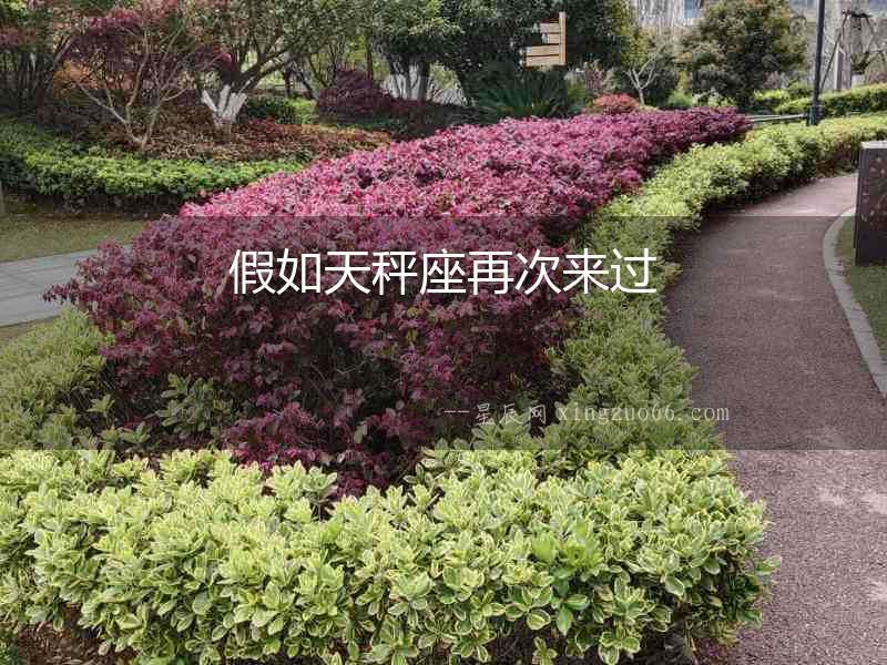 假如天秤座再次來(lái)過(guò)