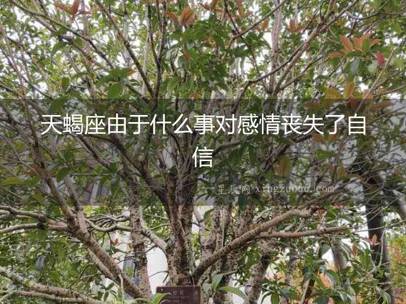 天蝎座由于什么事對感情喪失了自信