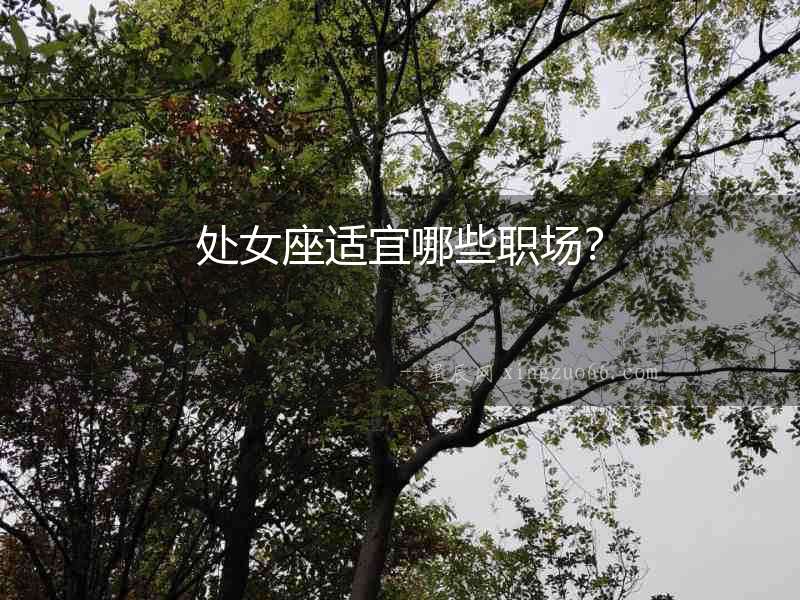 處女座適宜哪些職場？