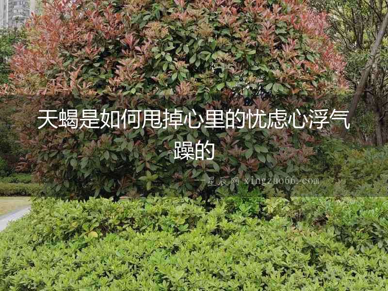 天蝎是如何甩掉心里的憂慮心浮氣躁的