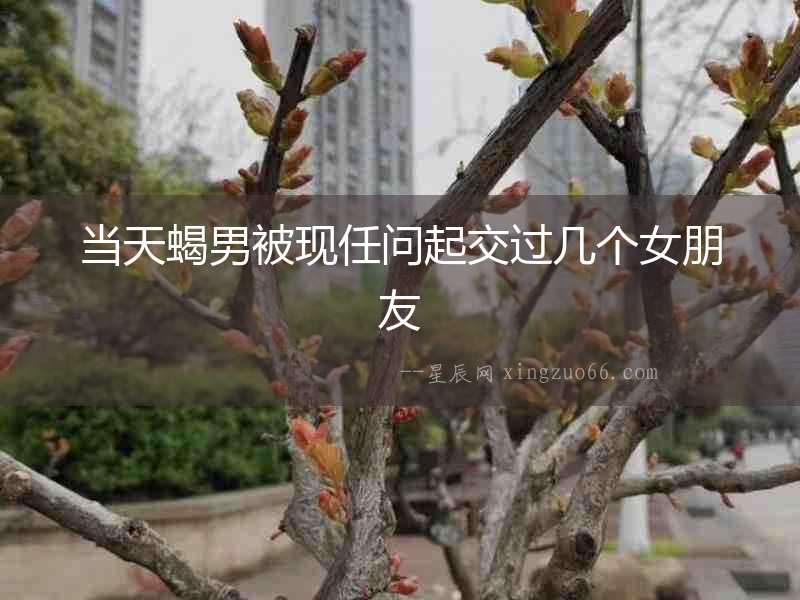 當(dāng)天蝎男被現(xiàn)任問(wèn)起交過(guò)幾個(gè)女朋友