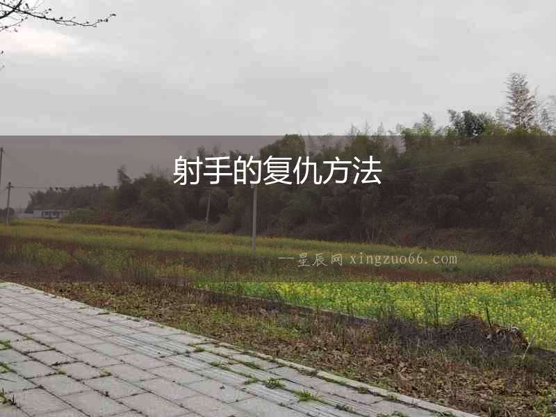 射手的復(fù)仇方法
