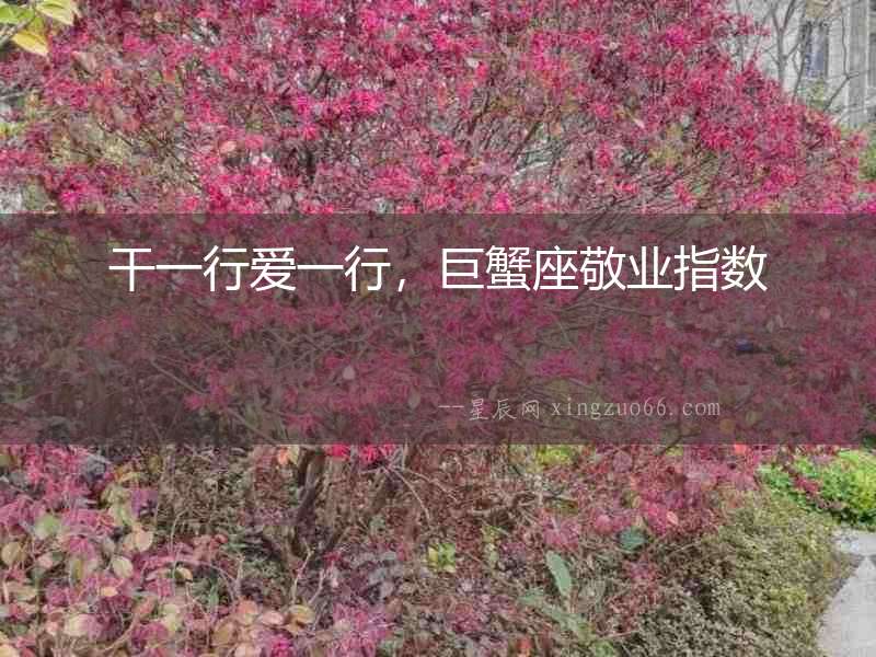 干一行愛一行，巨蟹座敬業指數