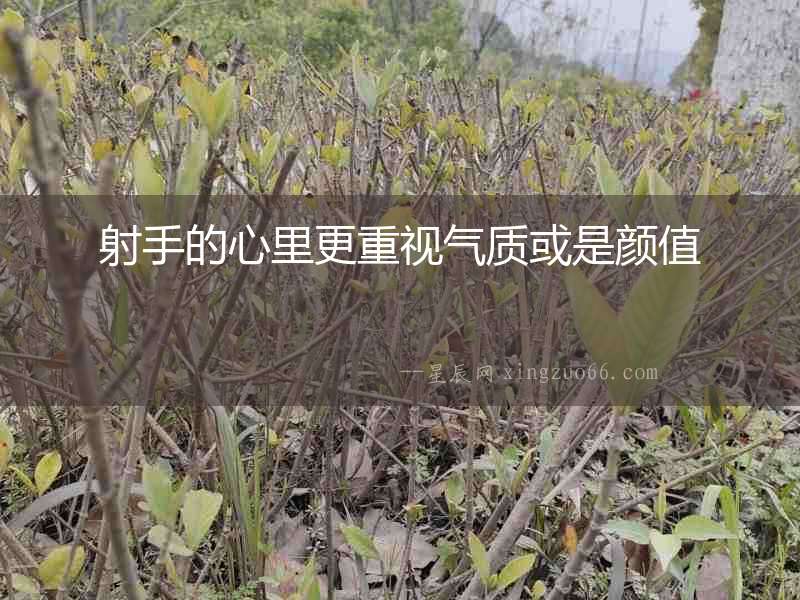 射手的心里更重視氣質或是顏值