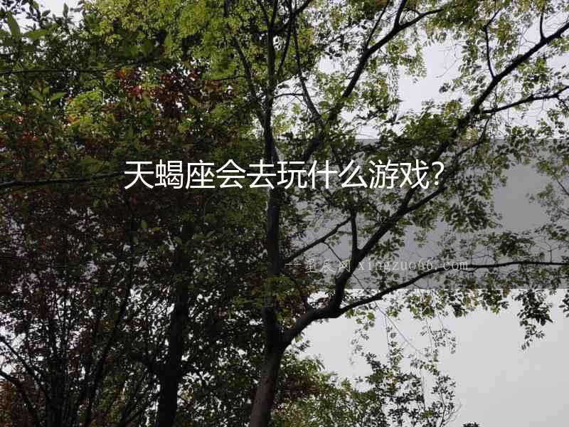 天蝎座會去玩什么游戲？