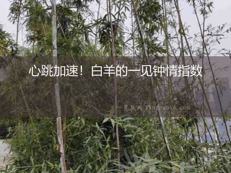 心跳加速！白羊的一見鐘情指數