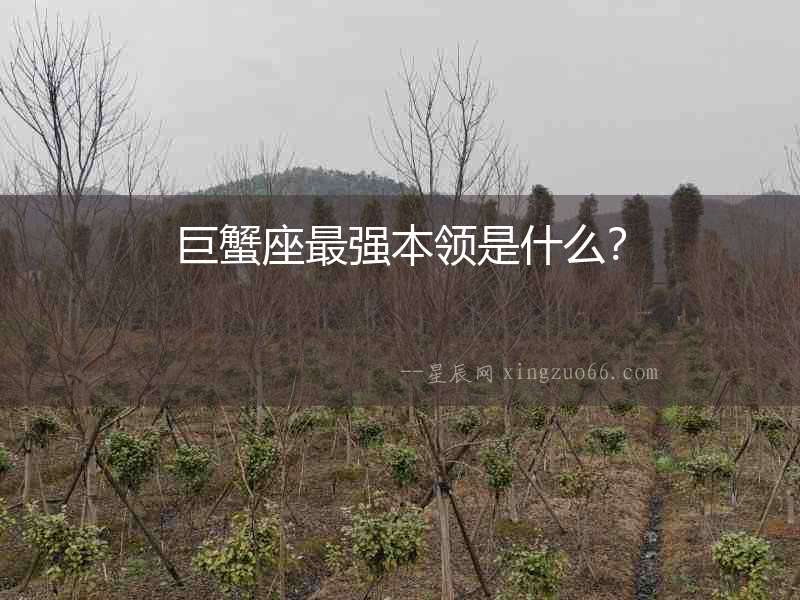 巨蟹座最強本領是什么？