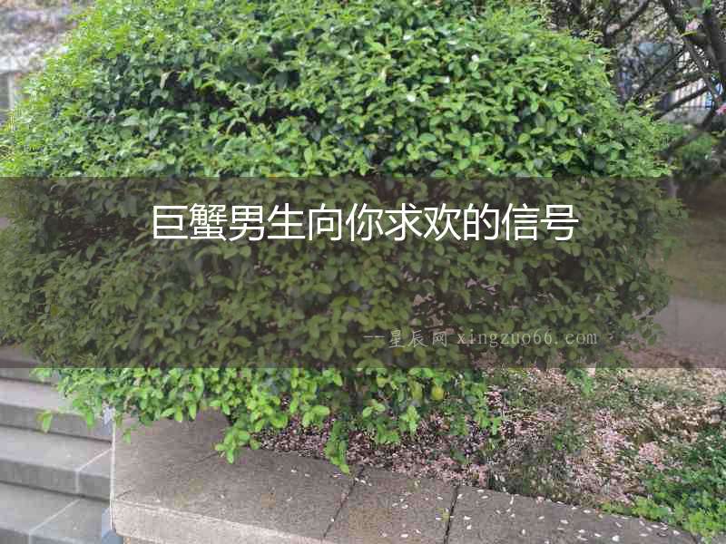 巨蟹男生向你求歡的信號(hào)