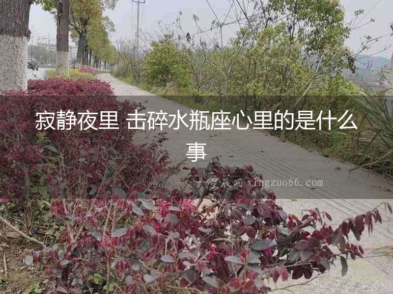 寂靜夜里 擊碎水瓶座心里的是什么事