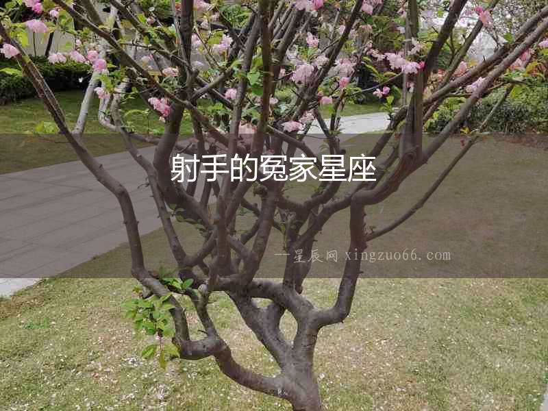 射手的冤家星座