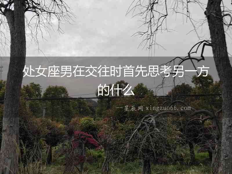 處女座男在交往時首先思考另一方的什么