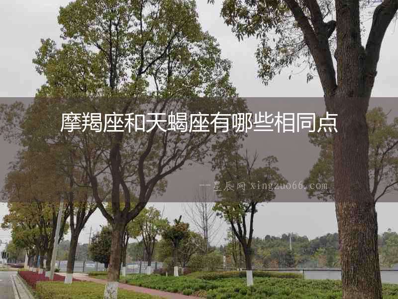 摩羯座和天蝎座有哪些相同點(diǎn)