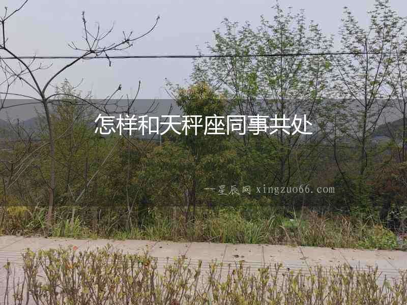 怎樣和天秤座同事共處