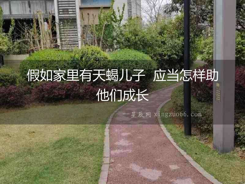 假如家里有天蝎兒子  應當怎樣助他們成長