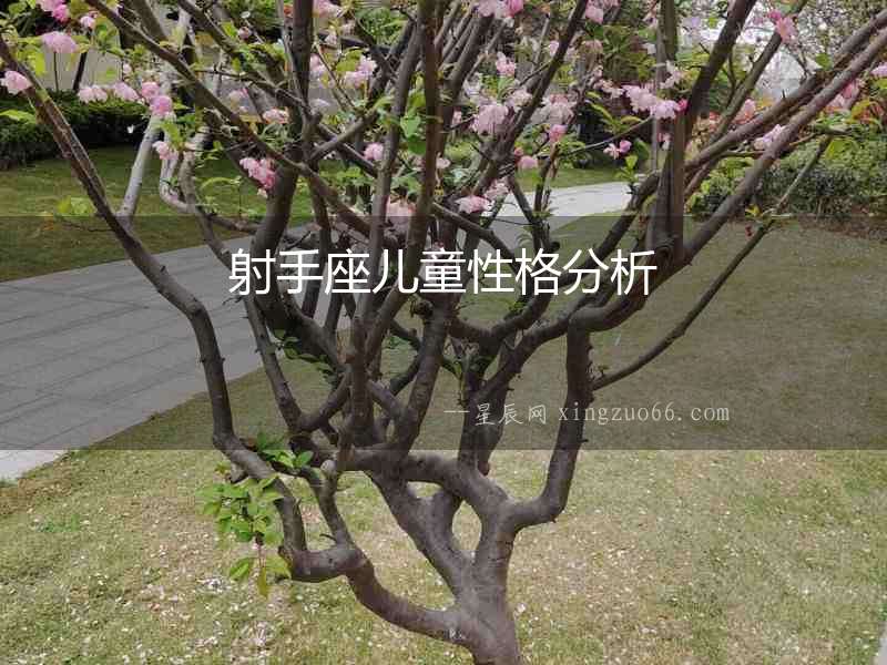 射手座兒童性格分析