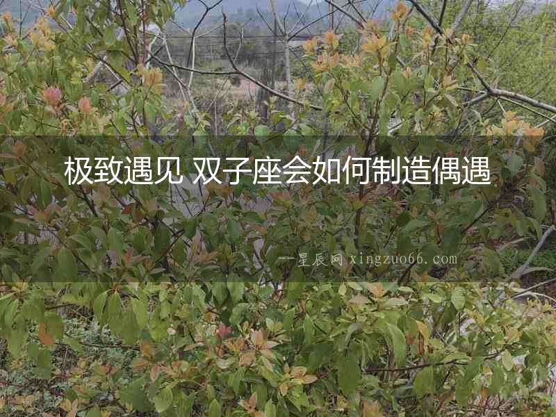 極致遇見 雙子座會如何制造偶遇