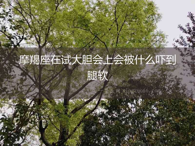 摩羯座在試大膽會上會被什么嚇到腿軟