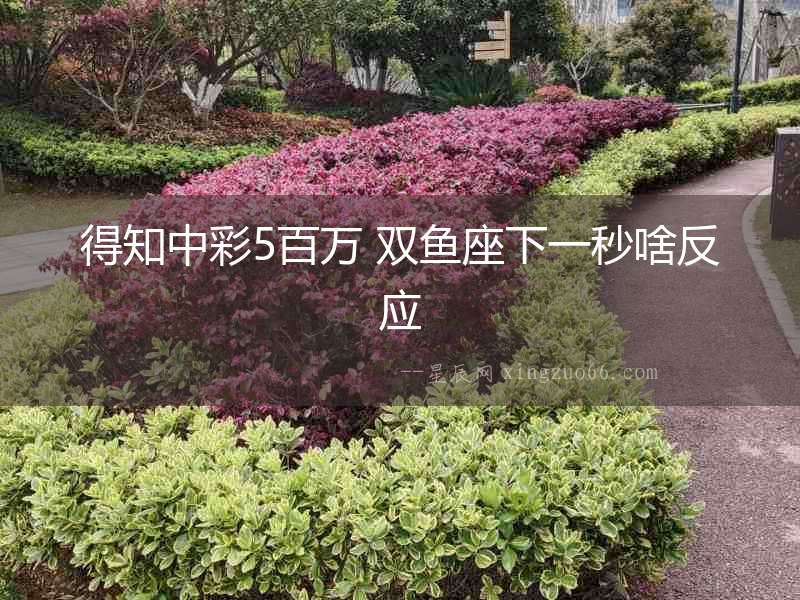 得知中彩5百萬 雙魚座下一秒啥反應