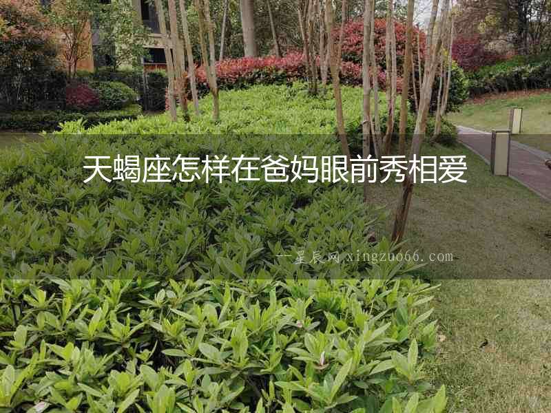 天蝎座怎樣在爸媽眼前秀相愛