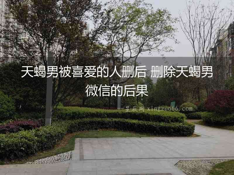 天蝎男被喜愛的人刪后 刪除天蝎男微信的后果
