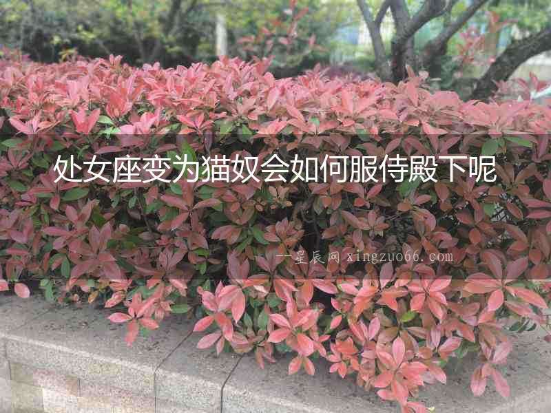 處女座變?yōu)樨埮珪绾畏痰钕履? alt=