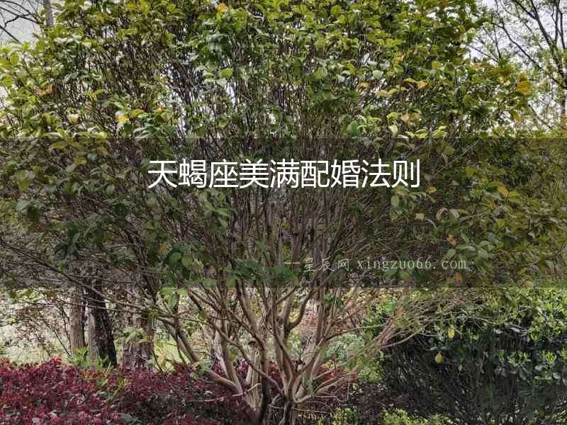 天蝎座美滿配婚法則