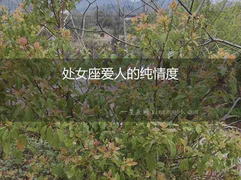 處女座愛(ài)人的純情度