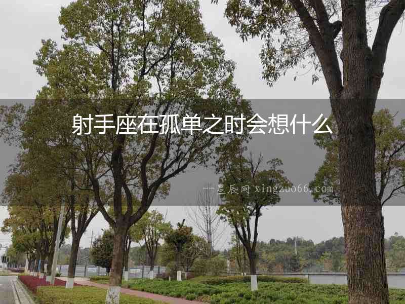 射手座在孤單之時會想什么