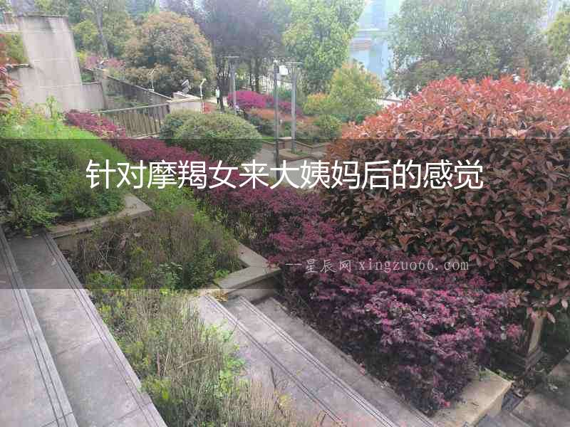 針對摩羯女來大姨媽后的感覺