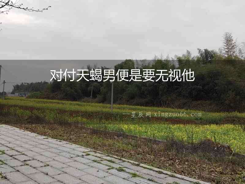 對付天蝎男便是要無視他