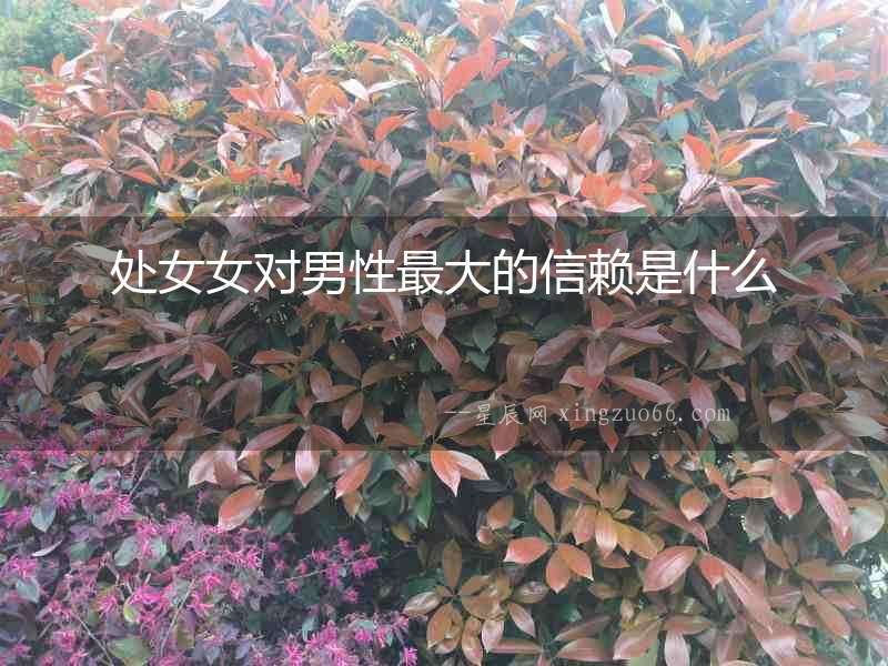 處女女對男性最大的信賴是什么