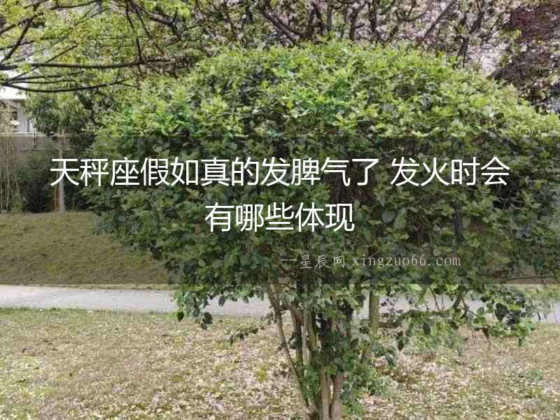 天秤座假如真的發脾氣了 發火時會有哪些體現
