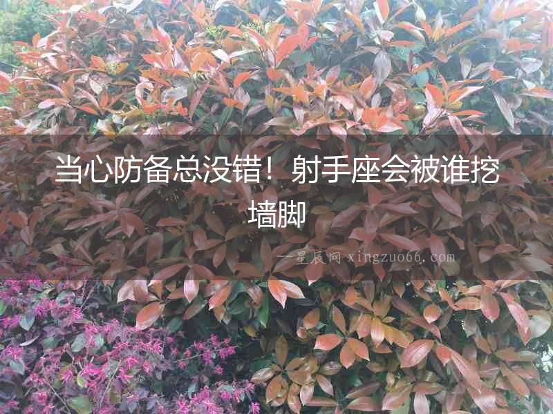 當心防備總沒錯！射手座會被誰挖墻腳