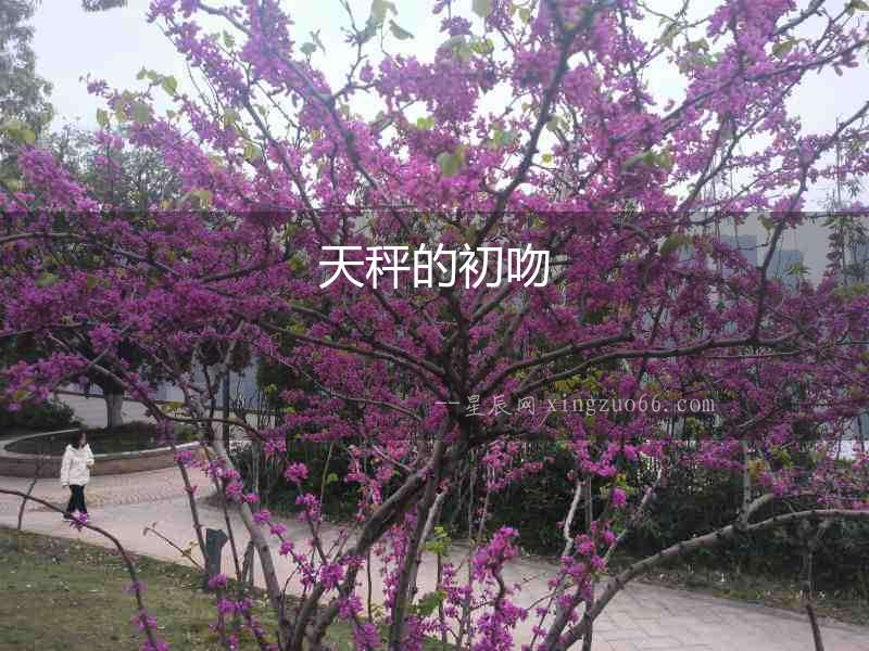 天秤的初吻
